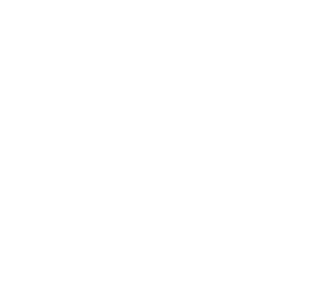 x(twitter)
